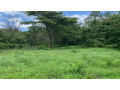 lote-en-venta-en-playa-grande-guanacaste-small-1