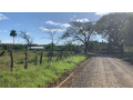 lotes-de-2000-m2-en-el-llano-huacas-guanacaste-small-1