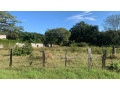 lotes-de-2000-m2-en-el-llano-huacas-guanacaste-small-0