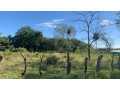 lotes-de-2000-m2-en-el-llano-huacas-guanacaste-small-3