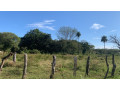 lotes-de-2000-m2-en-el-llano-huacas-guanacaste-small-4