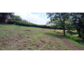 finca-o-lotes-para-vivir-en-tranquilidad-y-armonia-con-la-naturaleza-san-ramon-alajuela-small-0