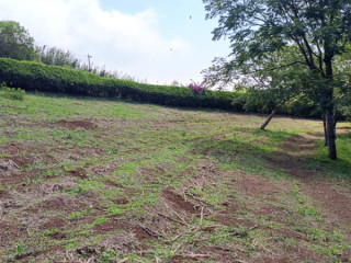 Finca ó Lotes para vivir en Tranquilidad y Armonía con la Naturaleza, San Ramón, Alajuela