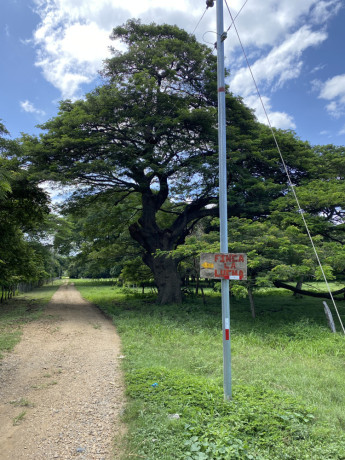 lote-5104-m2-guanacaste-bahia-salinas-229700-big-2