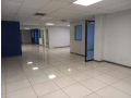 alquiler-oficinas-682-m2-san-jose-centro-14-m2-small-1