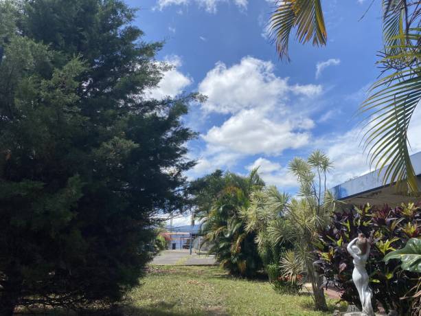 lote-comercial-zapote-mixto-2423-m2-1200000-big-3