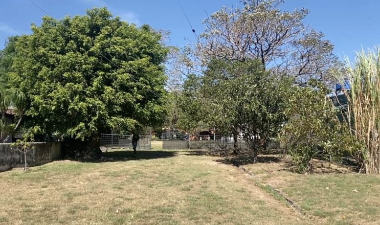 lote-de-4000-m2-en-santa-ana-uso-de-suelo-residencial-de-alta-densidad-1200000-big-1