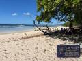 beachfront-house-for-sale-santa-cruz-guanacaste-50309gpmc-small-3