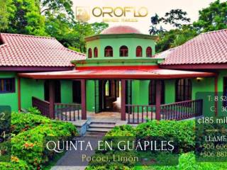 quinta-en-venta-guapiles-de-pococi-limon-70201cotd
