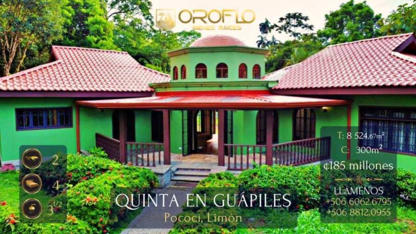quinta-en-venta-guapiles-de-pococi-limon-70201cotd-big-0