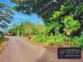 finca-para-desarrollo-comercial-residencial-atenas-alajuela-20503klps-small-3