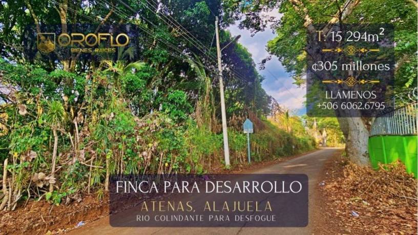 finca-para-desarrollo-comercial-residencial-atenas-alajuela-20503klps-big-0
