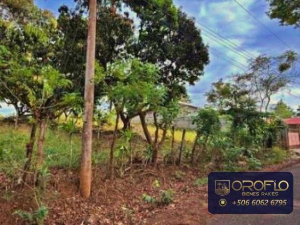 finca-para-desarrollo-comercial-residencial-atenas-alajuela-20503klps-big-4