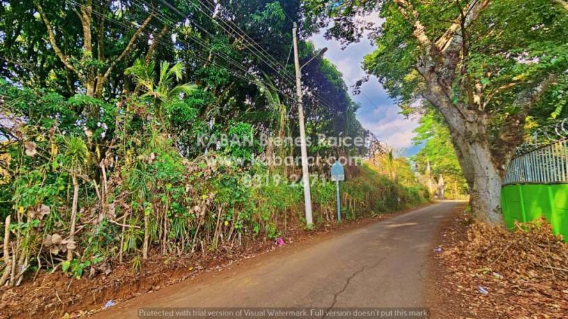 se-vende-finca-en-atenas-con-excelente-ubicacion-precio-de-oportunidad-big-1