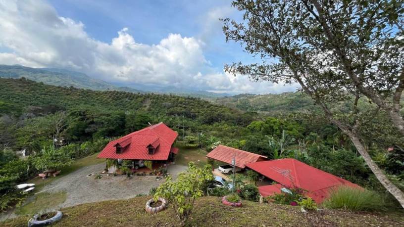 propiedad-en-perez-zeledon-con-casa-tipo-cabana-y-amplias-zonas-verdes-big-1