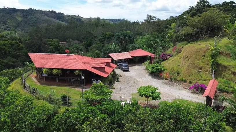 propiedad-en-perez-zeledon-con-casa-tipo-cabana-y-amplias-zonas-verdes-big-2