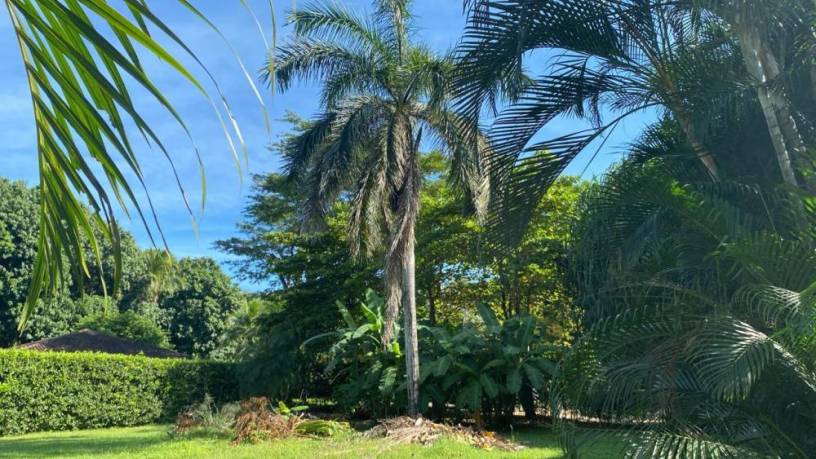 terreno-exclusivo-de-860-m2-en-villarreal-a-solo-5-minutos-de-la-playa-tamarindo-big-2