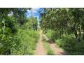 5000-m2-en-san-jose-de-pinilla-zona-de-tamarindo-guanacaste-small-2