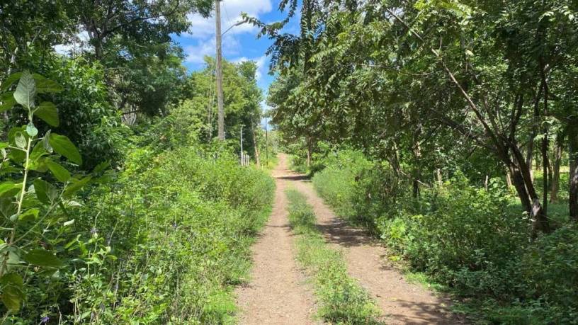 5000-m2-en-san-jose-de-pinilla-zona-de-tamarindo-guanacaste-big-2