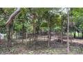 terreno-espacioso-de-4000-m2-ubicado-a-escasos-metros-de-playa-grande-small-3