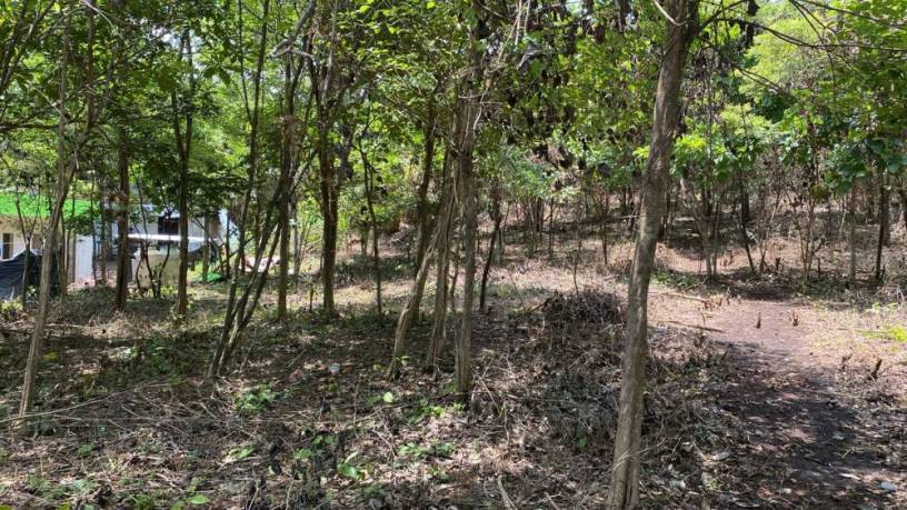 terreno-espacioso-de-4000-m2-ubicado-a-escasos-metros-de-playa-grande-big-1