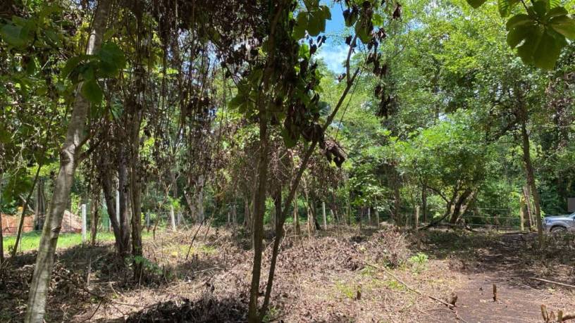 terreno-espacioso-de-4000-m2-ubicado-a-escasos-metros-de-playa-grande-big-2