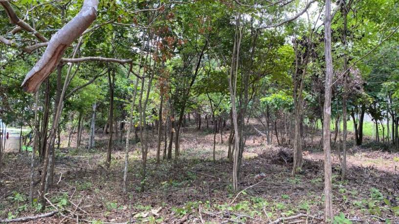 terreno-espacioso-de-4000-m2-ubicado-a-escasos-metros-de-playa-grande-big-3