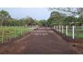 se-vende-finca-en-san-ramon-de-alajuela-small-4
