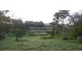 se-vende-finca-en-san-ramon-de-alajuela-small-1