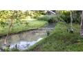 se-vende-finca-en-san-ramon-de-alajuela-small-2