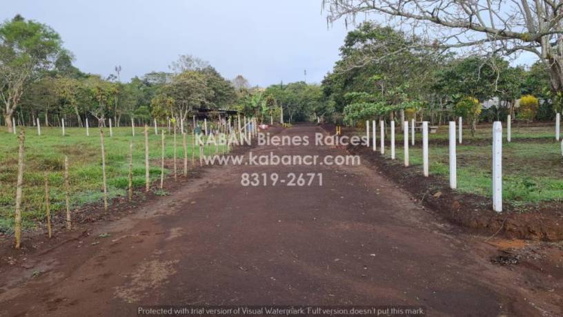 se-vende-finca-en-san-ramon-de-alajuela-big-4