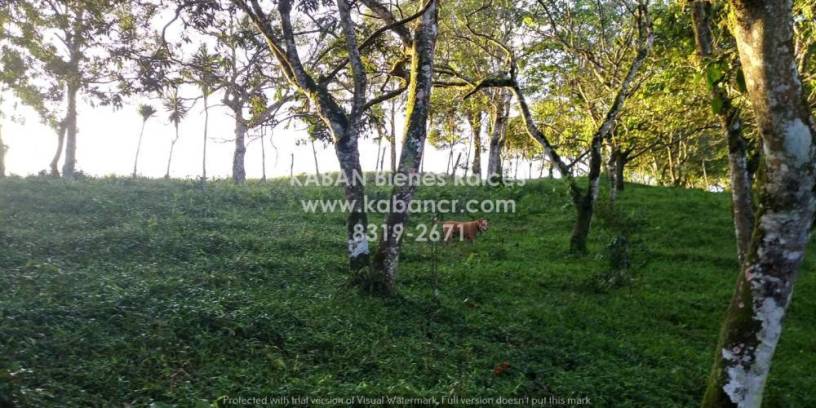 se-vende-finca-en-san-ramon-de-alajuela-big-0