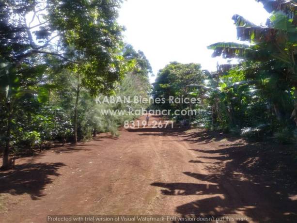 se-vende-finca-en-san-ramon-de-alajuela-big-3