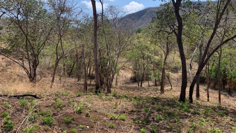 lote-con-vista-al-mar-y-montanas-en-potrero-big-2