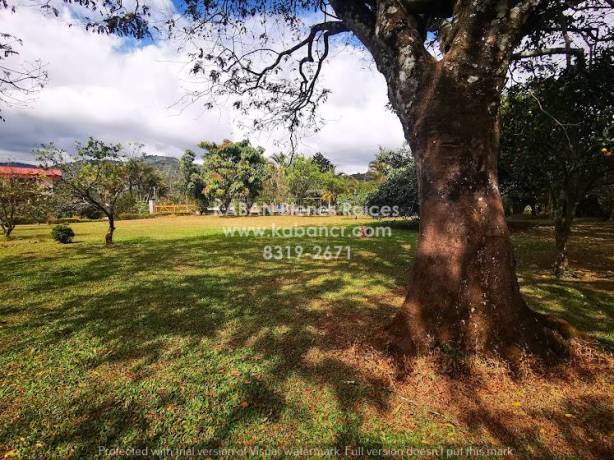 se-vende-hermosa-propiedad-totalmente-plana-en-corralillo-de-cartago-big-1