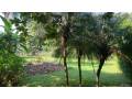 terreno-comercial-y-residencial-listo-para-construir-ubicado-en-jerusalen-una-tranquila-zona-residencial-a-solo-5-minutos-de-playa-tamarindo-small-3