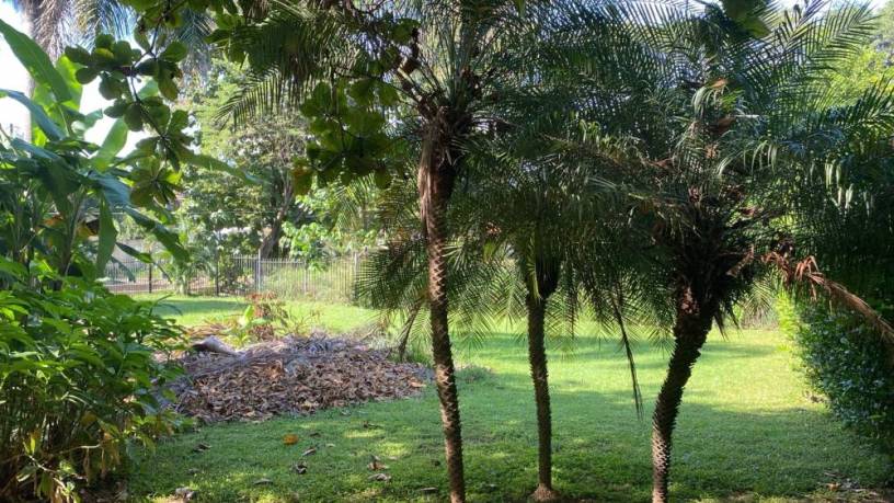 terreno-comercial-y-residencial-listo-para-construir-ubicado-en-jerusalen-una-tranquila-zona-residencial-a-solo-5-minutos-de-playa-tamarindo-big-3