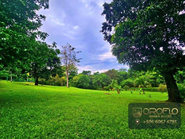 finca-con-pontencial-comercial-orotina-alajuela-20901cgsa-big-4