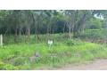 lote-exclusivo-en-rancho-cartagena-9506-m2-cerca-de-tamarindo-small-0
