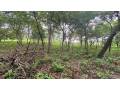 lote-exclusivo-en-rancho-cartagena-9506-m2-cerca-de-tamarindo-small-2