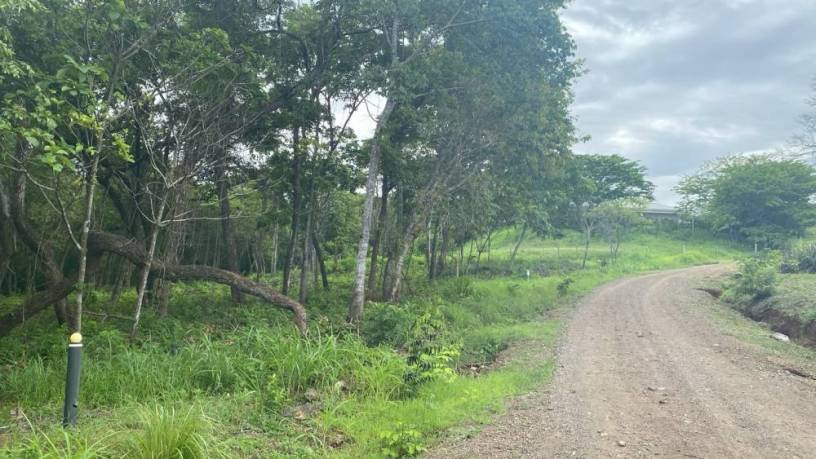 lote-exclusivo-en-rancho-cartagena-9506-m2-cerca-de-tamarindo-big-3