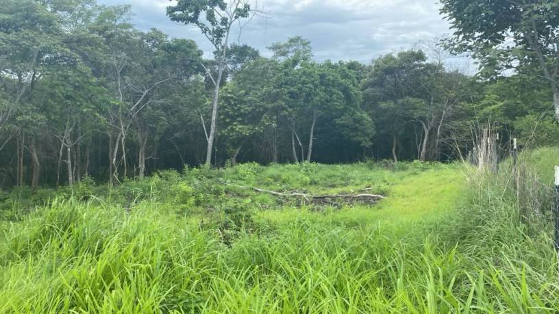 lote-exclusivo-en-rancho-cartagena-9506-m2-cerca-de-tamarindo-big-1