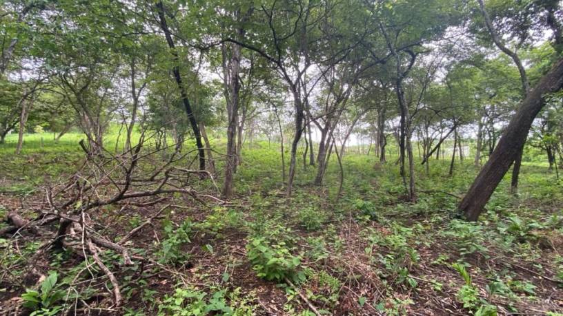 lote-exclusivo-en-rancho-cartagena-9506-m2-cerca-de-tamarindo-big-2