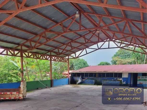 oportunidad-rentabilidad-e-inversion-guapiles-pococi-limon-big-4