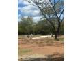 lotes-residenciales-en-comunidad-privada-cerca-de-tamarindo-small-2