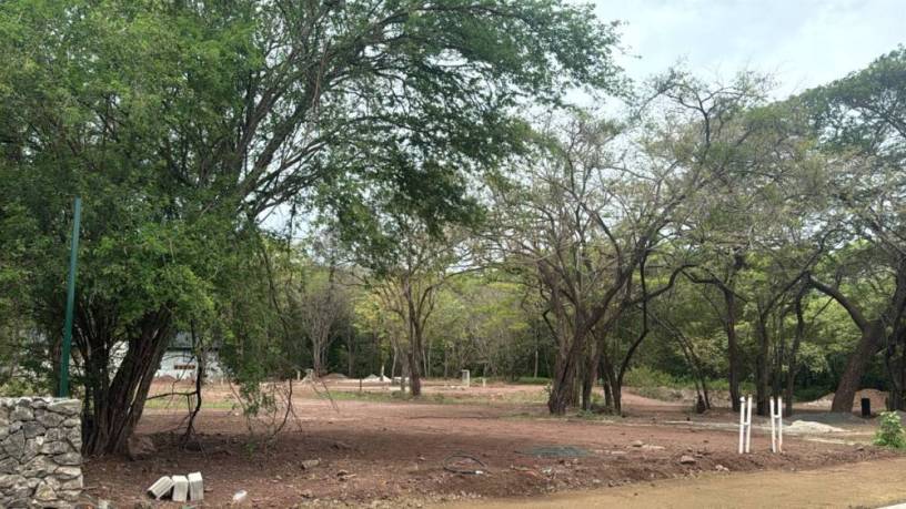 lotes-residenciales-en-comunidad-privada-cerca-de-tamarindo-big-1
