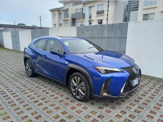 Lexus UX 250 H año 2020