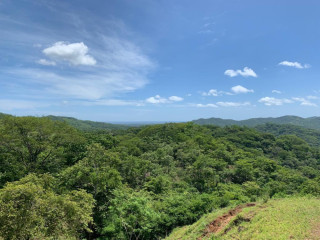 13 hectáreas de terreno con hermosas vistas