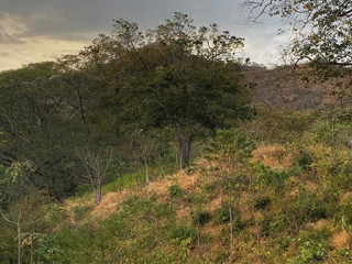 Terreno en Playa Grande, Guanacaste